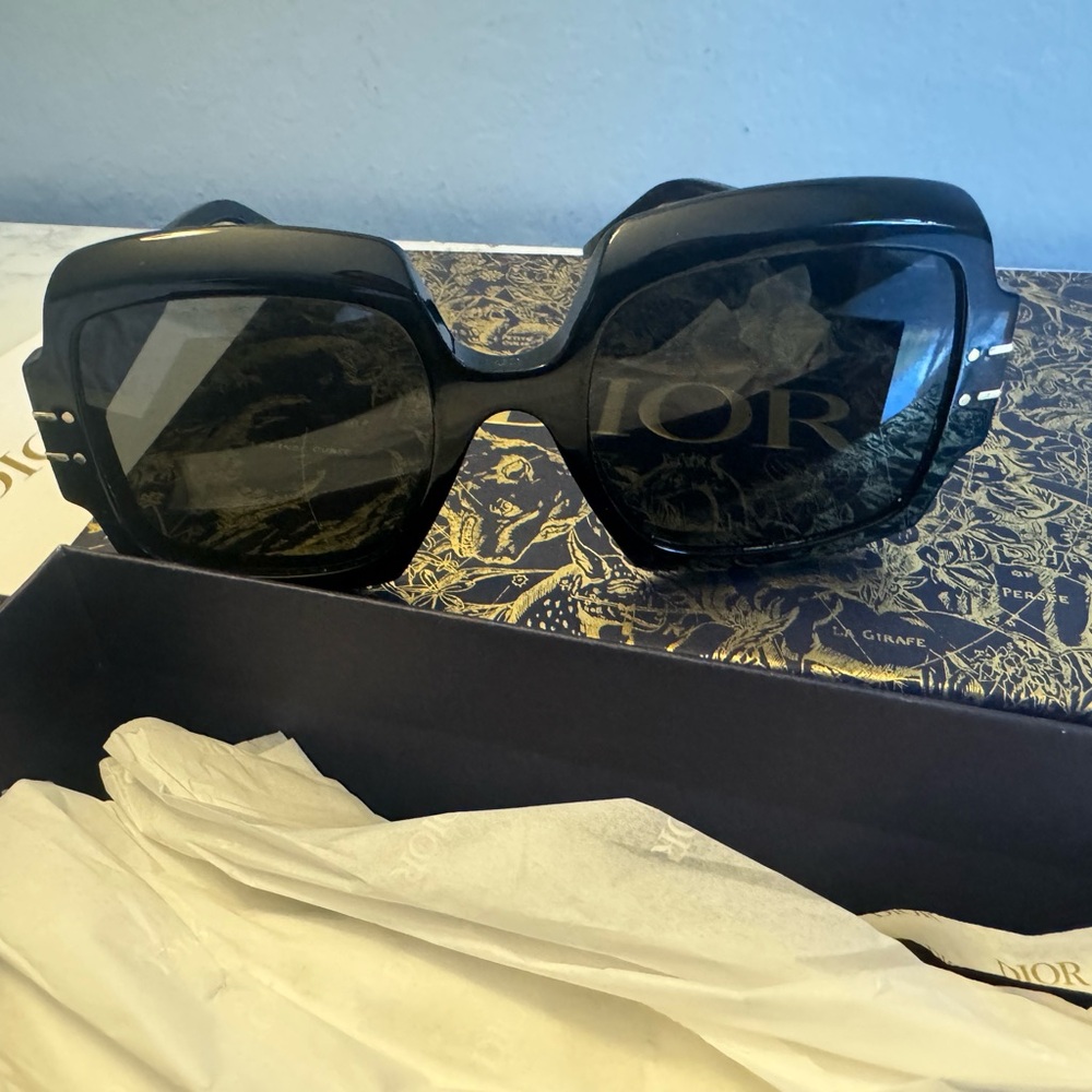 Dior Black Women's Sunglasses